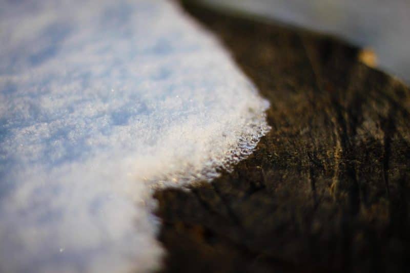 mit Schnee bedeckter Holzstamm