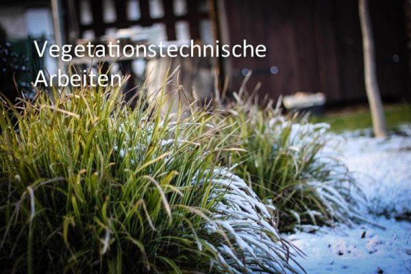 Leistungen Vegetationsarbeiten